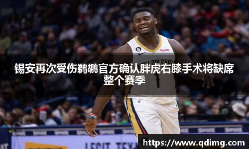 锡安再次受伤鹈鹕官方确认胖虎右膝手术将缺席整个赛季