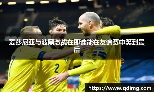 爱莎尼亚与波黑激战在即谁能在友谊赛中笑到最后